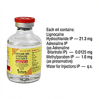 Indoco Warren Lignox Lignocaine 2% (Pack Of 24)
