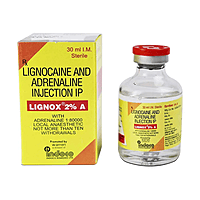 Indoco Warren Lignox Lignocaine 2% (Pack Of 24)