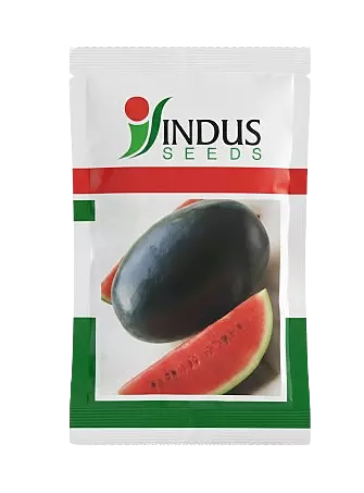 BLACK BOSS HYBRID WATERMELON by INDUS SEEDS