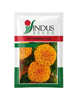 MARIGOLD ASHTAGANDHA PLUS by INDUS SEEDS