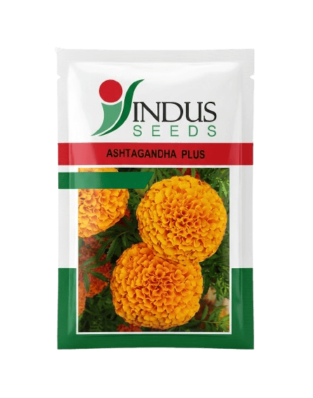 MARIGOLD ASHTAGANDHA PLUS by INDUS SEEDS