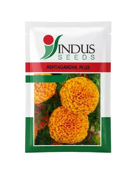 MARIGOLD ASHTAGANDHA PLUS by INDUS SEEDS