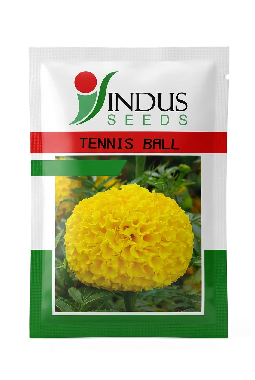 MARIGOLD TENNIS BALL by INDUS SEEDS