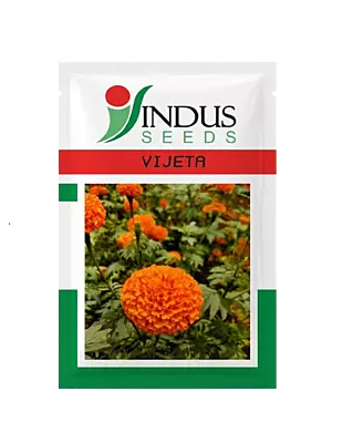 MARIGOLD VIJETA by INDUS SEEDS