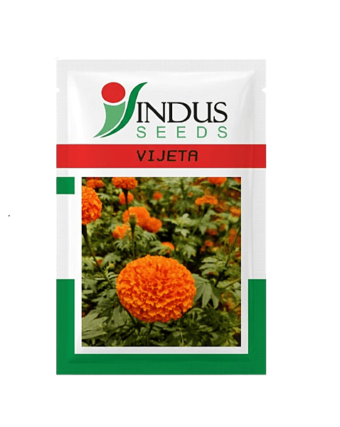 MARIGOLD VIJETA by INDUS SEEDS
