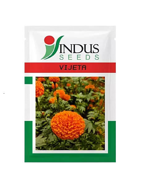 MARIGOLD VIJETA by INDUS SEEDS