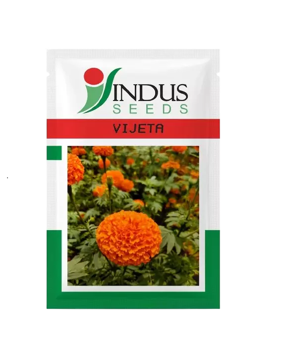 MARIGOLD VIJETA by INDUS SEEDS