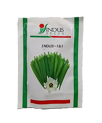 Hy Bhindi INDUS-161 by INDUS SEEDS