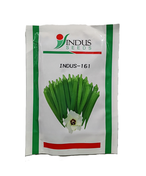 Hy Bhindi INDUS-161 by INDUS SEEDS
