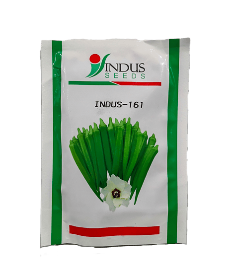 Hy Bhindi INDUS-161 by INDUS SEEDS