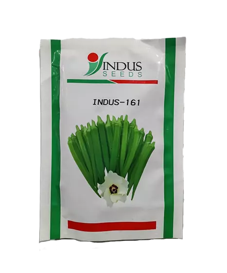 Hy Bhindi INDUS-161 by INDUS SEEDS