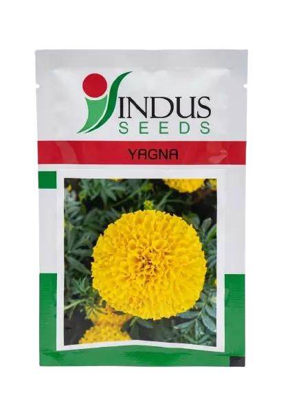 MARIGOLD YAGNA by INDUS SEEDS