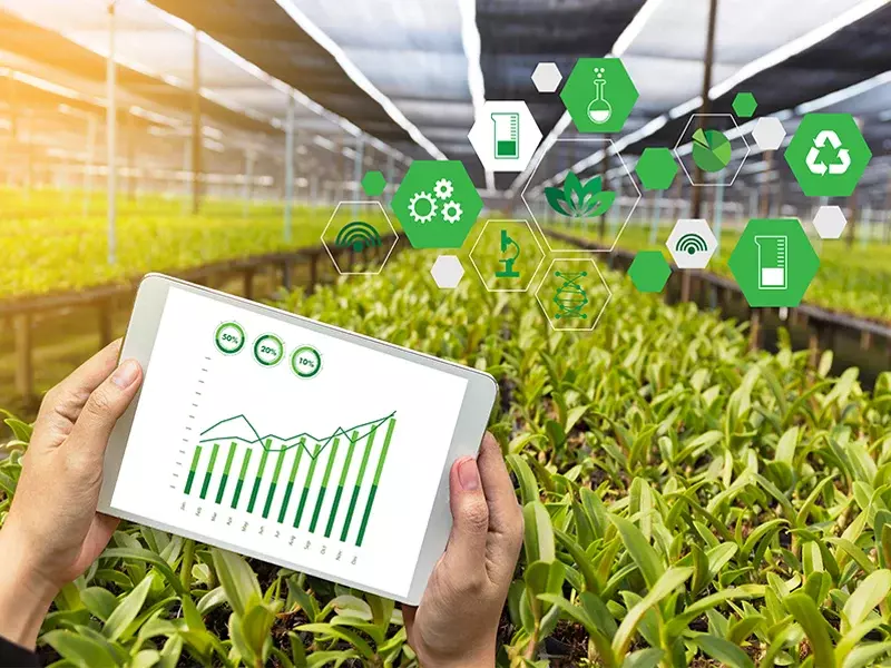 AI-Based Crop Demand Forecasting Solutions