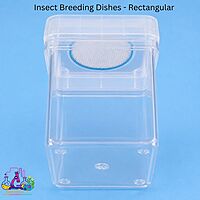 Insect Breeding Dishes - Rectangular Container
