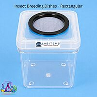 Insect Breeding Dishes - Rectangular Container