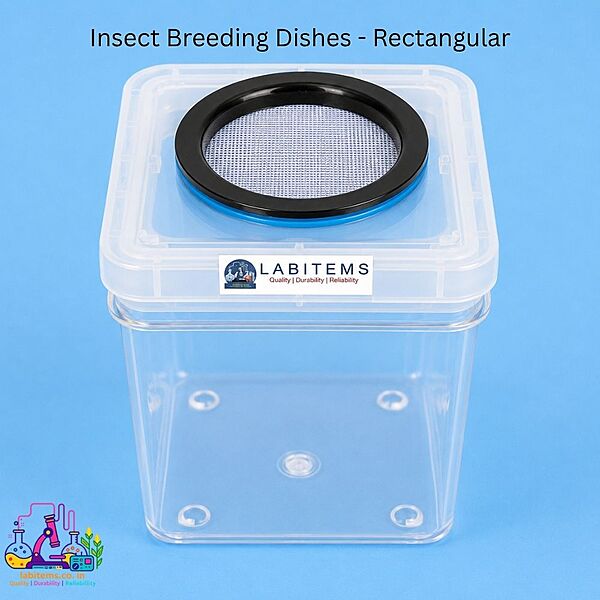 Insect Breeding Dishes - Rectangular Container