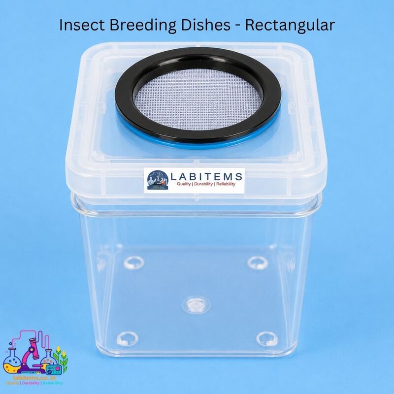 Insect Breeding Dishes - Rectangular Container