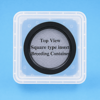 Insect Breeding Dishes - Rectangular Container