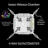 4-way olfactometer with mesh rail for clawed insects