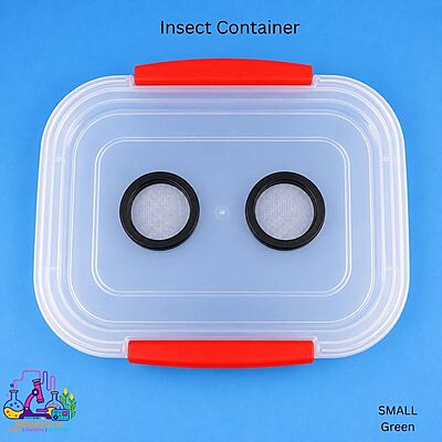 Insect Container - Green - small