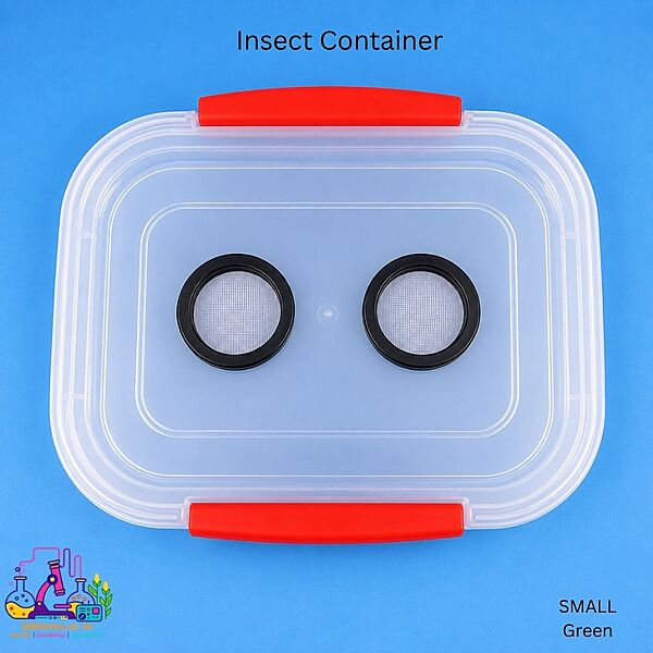 Insect Container - Green - small