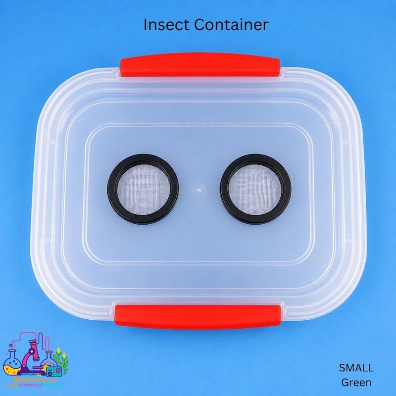 Insect Container - Green - small