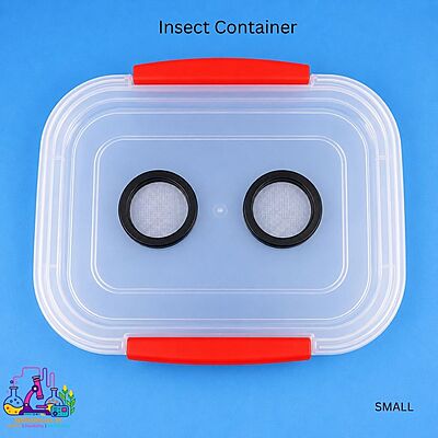 Insect Container - Small