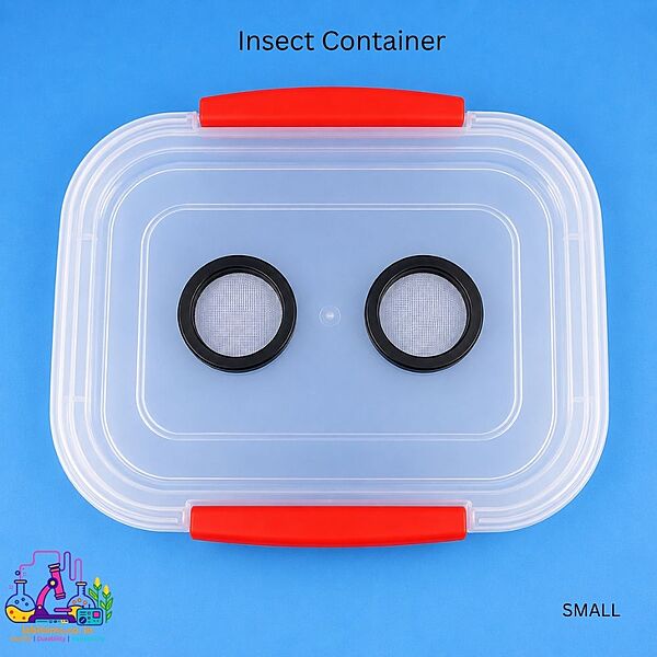 Insect Container - Small