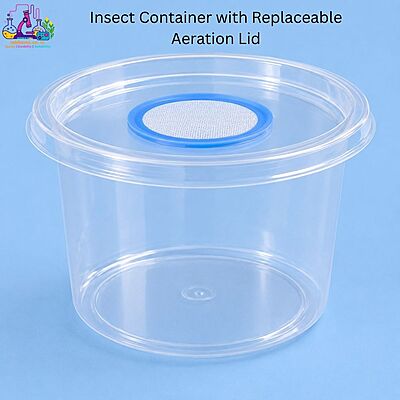 Clear Polystyrene Insect Container with Replaceable Aeration Lid – 700 ml Reusable Transparent Lab Box