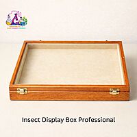Insect Display Box Professional
