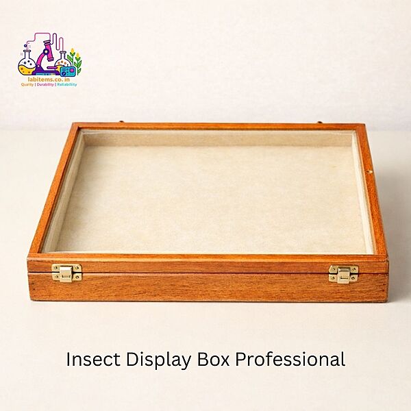 Insect Display Box Professional
