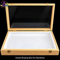 Insect Display Box for Students