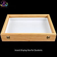 Insect Display Box for Students