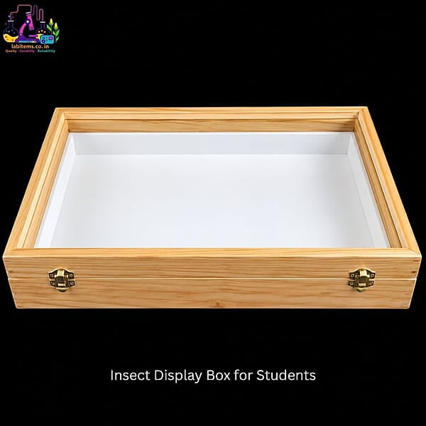 Insect Display Box for Students