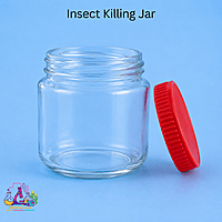 Insect Killing Jar (w/o Killing Agent)
