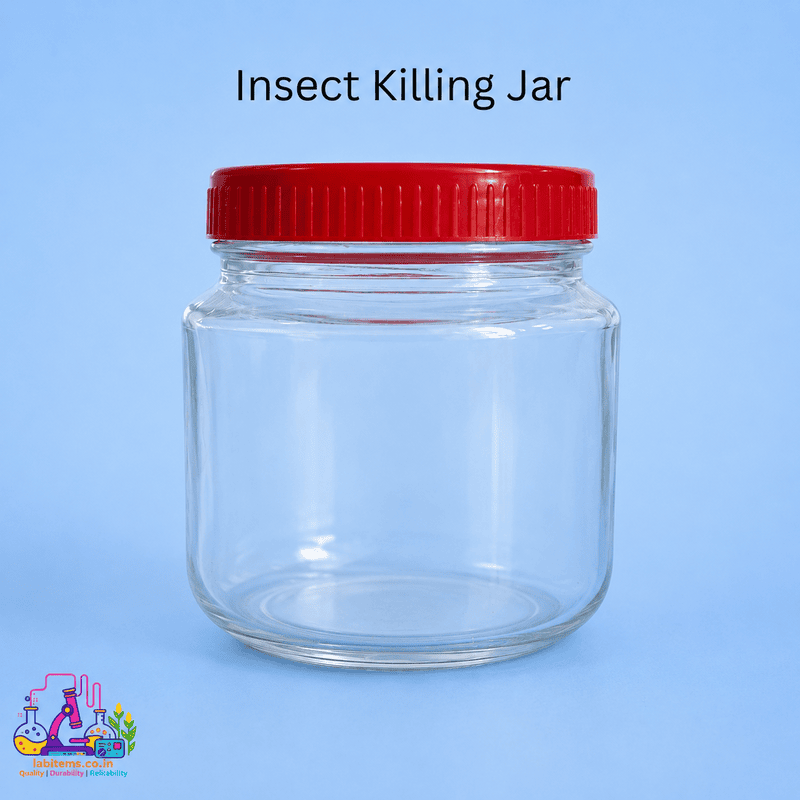 Insect Killing Jar (w/o Killing Agent)