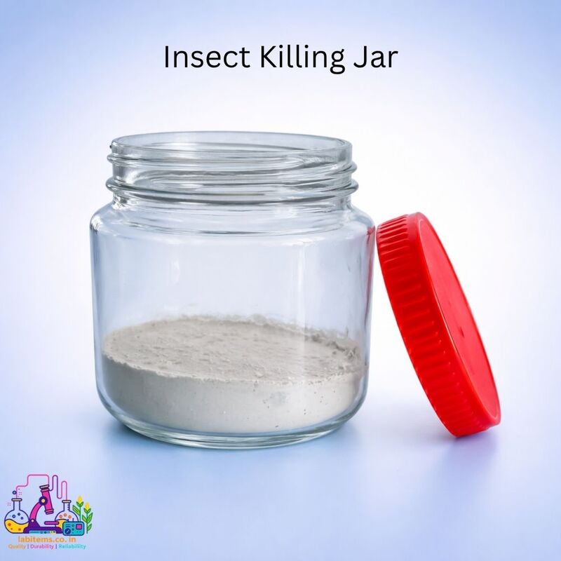Insect Killing Jar for Entomological Collections – Papua New Guinea