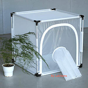 Insect Rearing Cage 6S610 (aluminum frame as a backbone)