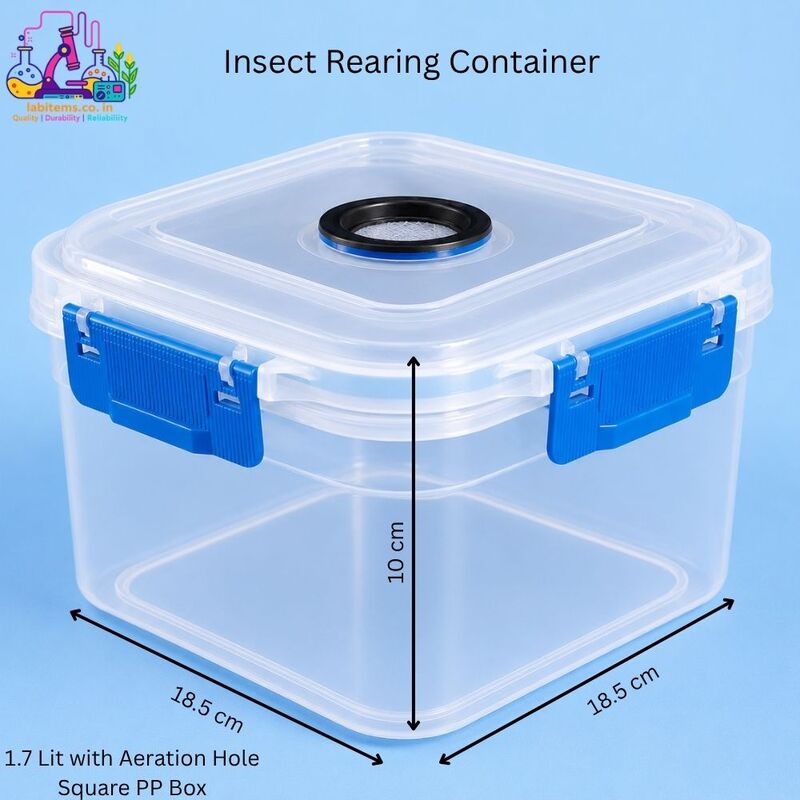 Insect Rearing Container – 1.7L Square PP Box with Aeration Hole