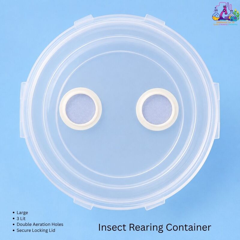 Insect Rearing Container Large 3lit with Double Aeration Holes and Secure Locking Lid