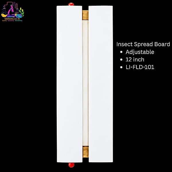 Insect Spread Board Adjustable 12 inch
