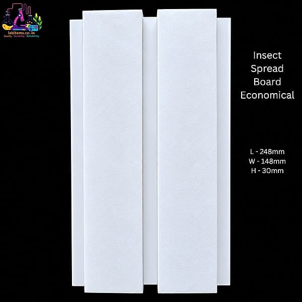 Insect Spreading Board Economical