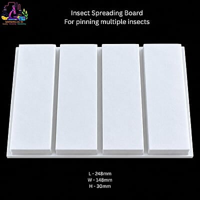 Insect Spreading Board for pinning multiple insects