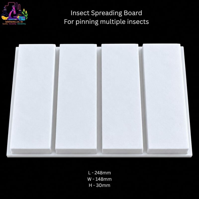 Insect Spreading Board for pinning multiple insects