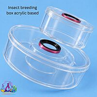 Insect breeding box acrylic based