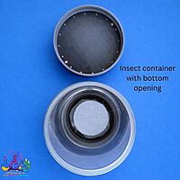Insect container with bottom opening