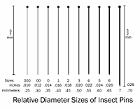 Insect Pins Size 2 LEA02