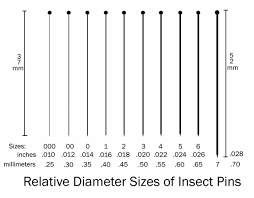 Insect Pins with Enamel Coating