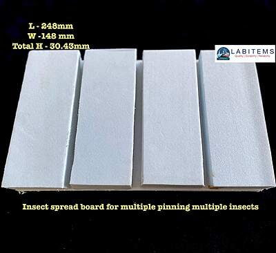 Insect Spreading Board for pinning multiple insects