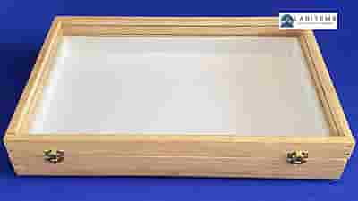 Insect Storage Box for students